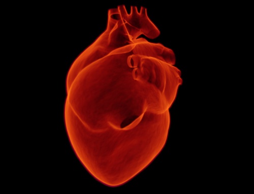 Acute Heart Attack Detection (akuutin sydänkohtauksen detektointi)