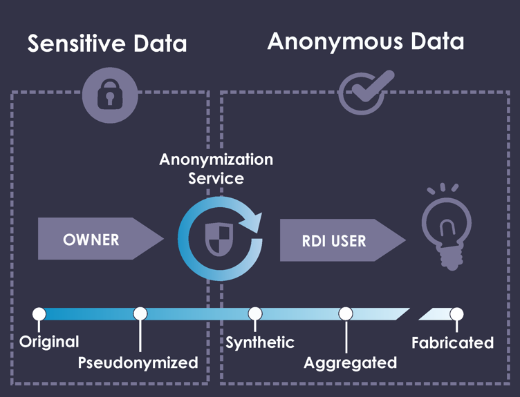 Privacy-preserving AI for Synthetic and Anonymous Health Data